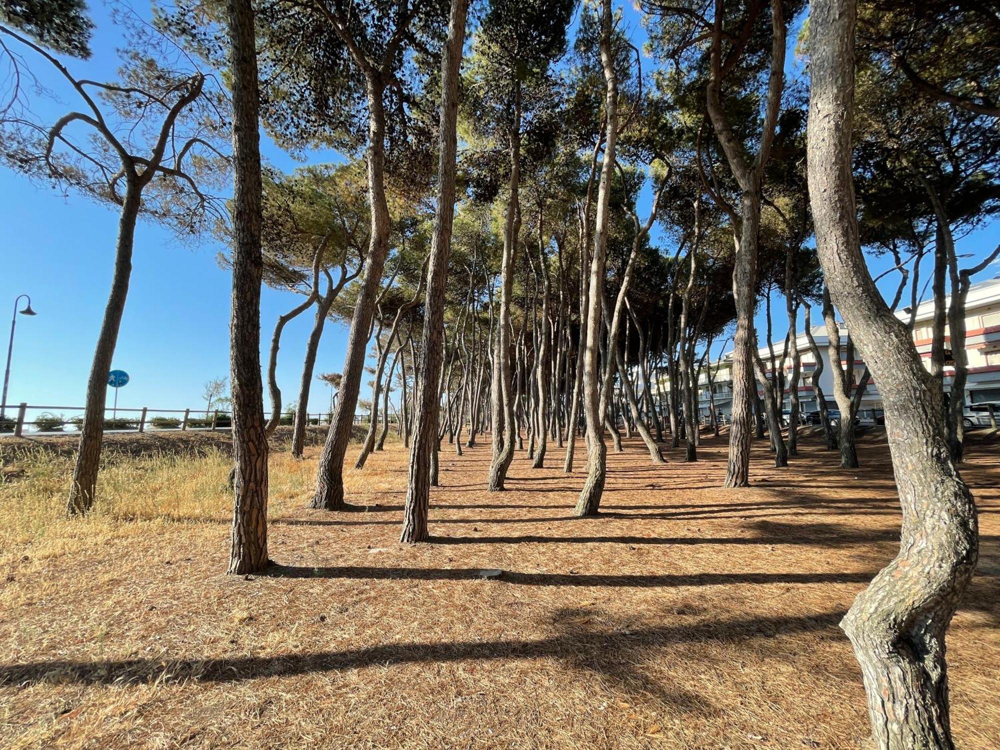 Albergo Desiree Alba Adriatica Esterno foto